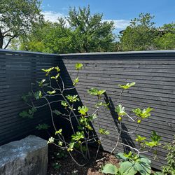 Terrassen/Sichtschutz